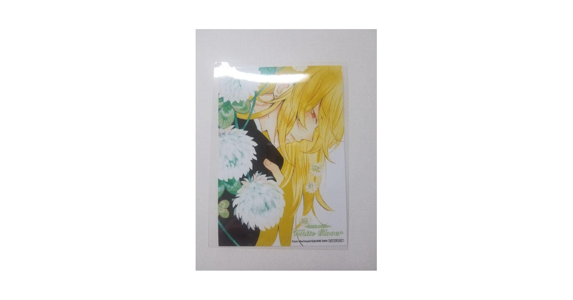 Pandora Hearts 花言葉 ブロマイド　フルセット Pandora Hearts パンドラハーツ 花言葉ブロマイド ヴィンセント